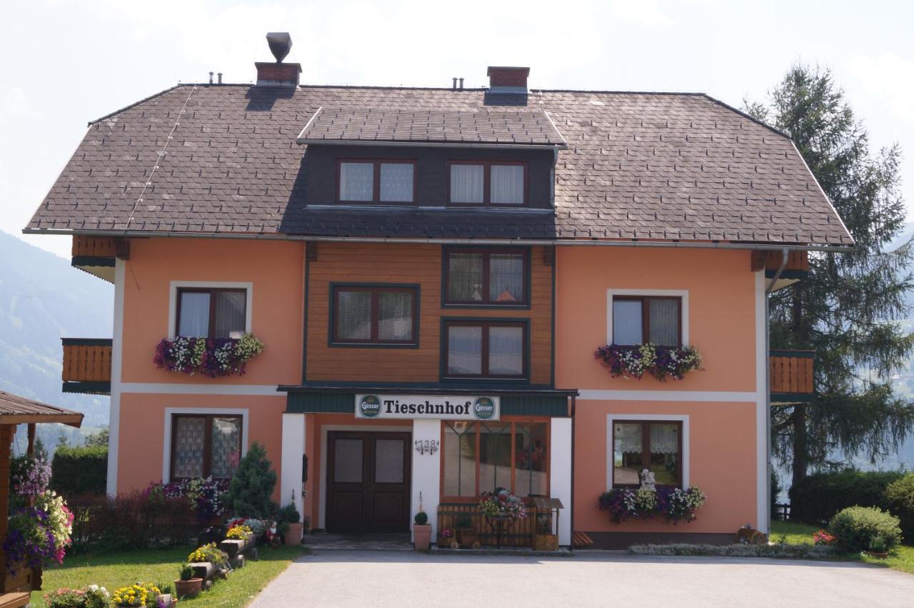Отель Tieschnhof Грёбминг Экстерьер фото